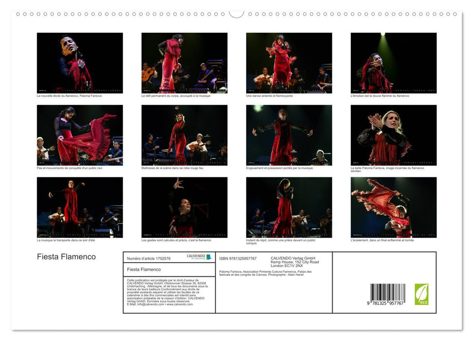 Fiesta Flamenco (CALVENDO Calendrier supérieur 2025)