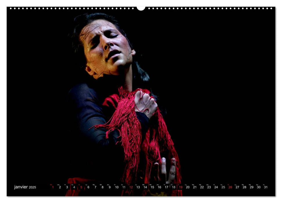 Fiesta Flamenco (CALVENDO Calendrier supérieur 2025)