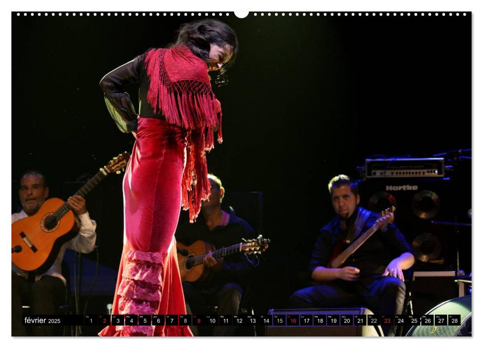 Fiesta Flamenco (CALVENDO Calendrier supérieur 2025)