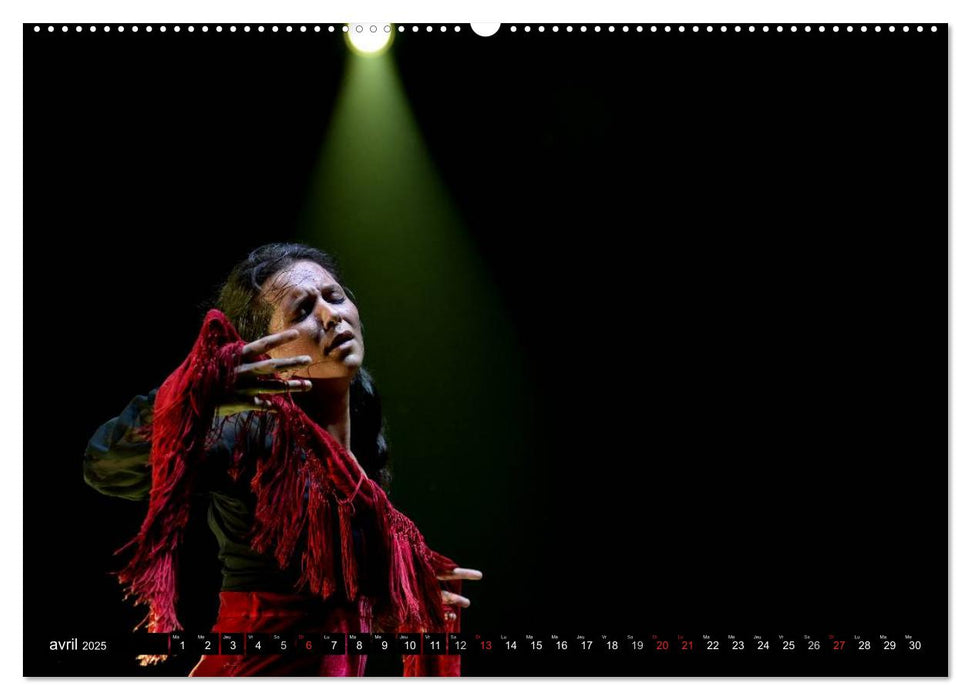 Fiesta Flamenco (CALVENDO Calendrier supérieur 2025)