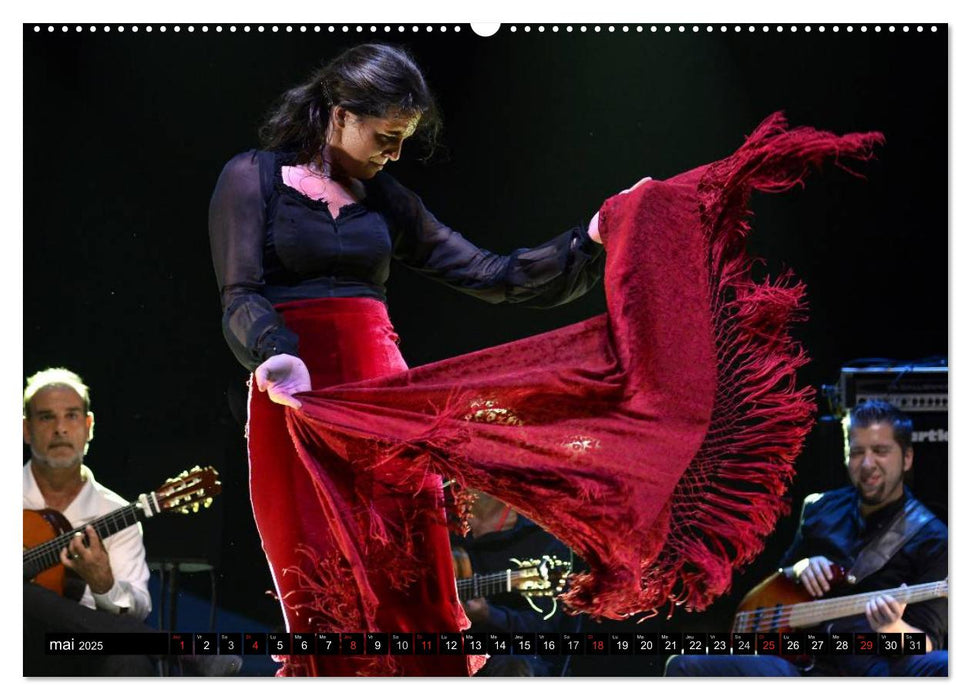 Fiesta Flamenco (CALVENDO Calendrier supérieur 2025)