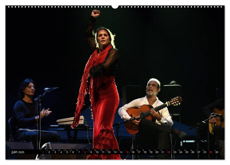 Fiesta Flamenco (CALVENDO Calendrier supérieur 2025)