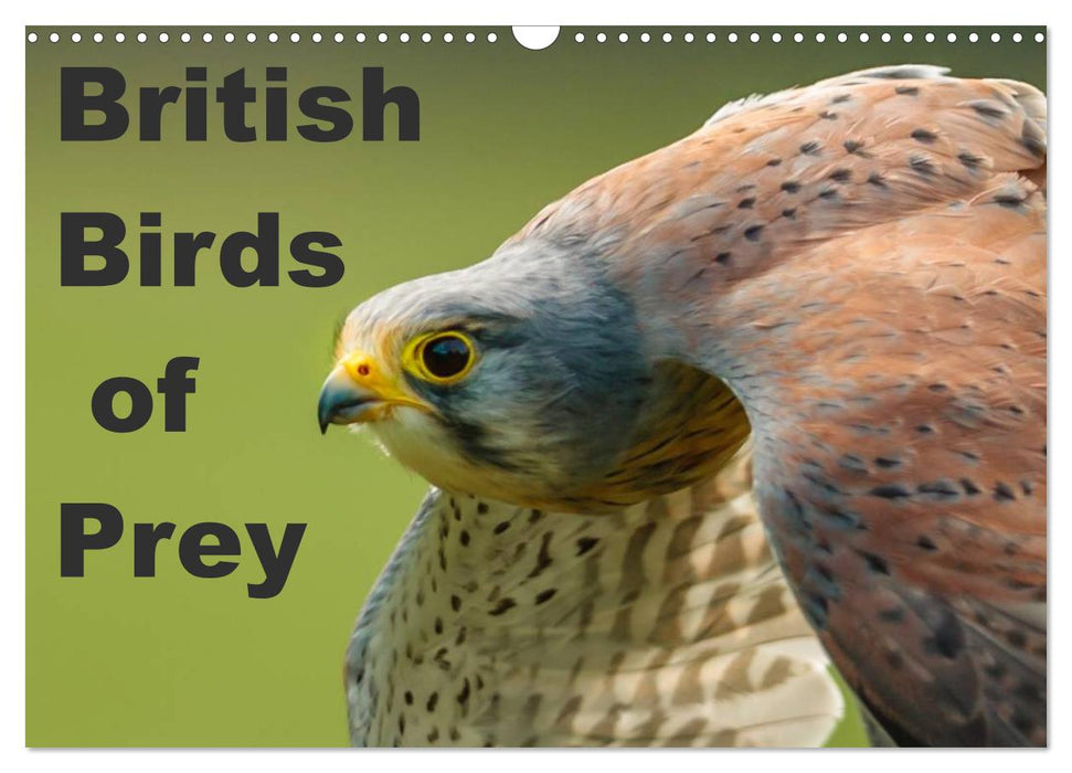 British Birds of Prey (CALVENDO Monthly Calendar 2025)