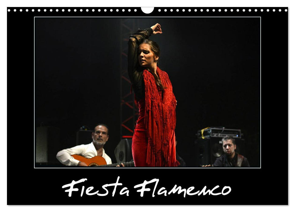 Fiesta Flamenco (CALVENDO Calendrier mensuel 2025)