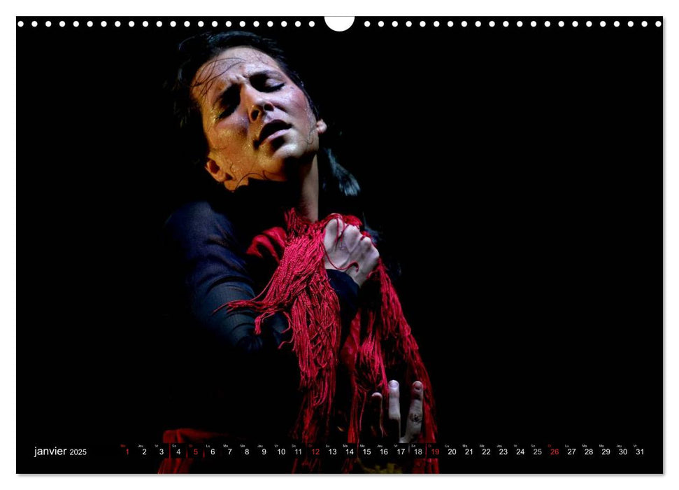 Fiesta Flamenco (CALVENDO Calendrier mensuel 2025)