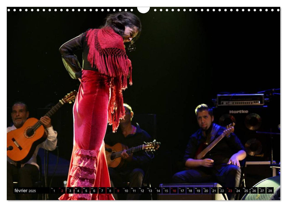 Fiesta Flamenco (CALVENDO Calendrier mensuel 2025)