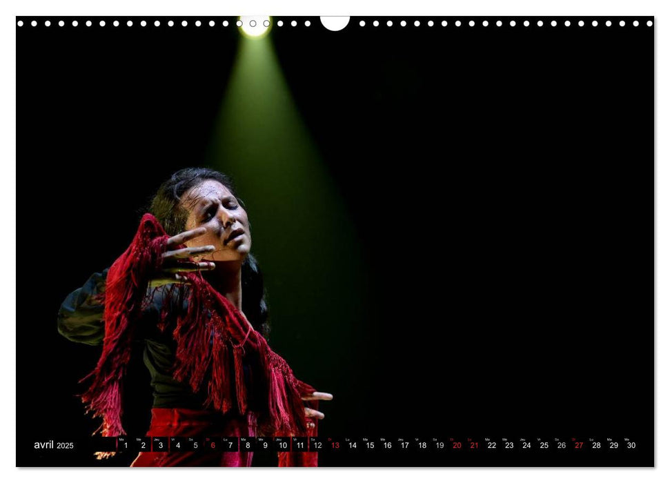 Fiesta Flamenco (CALVENDO Calendrier mensuel 2025)