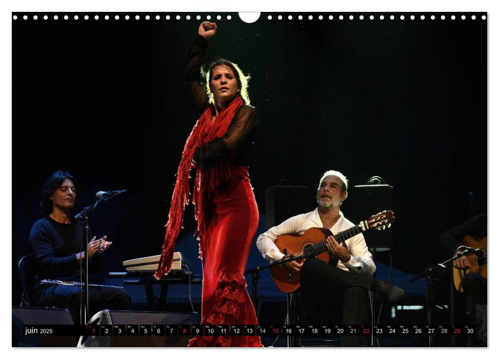 Fiesta Flamenco (CALVENDO Calendrier mensuel 2025)