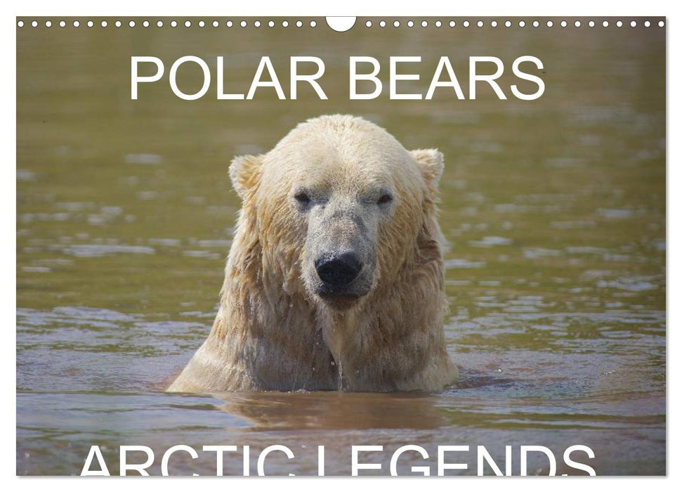 POLAR BEARS - ARCTIC LEGENDS (CALVENDO Monthly Calendar 2025)