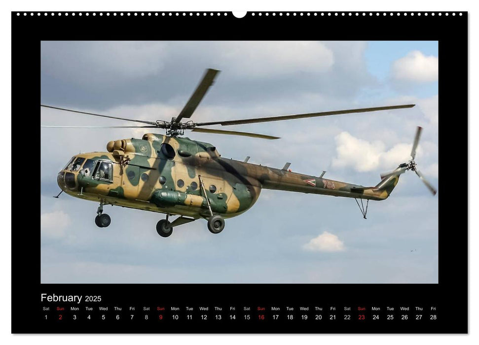 Air Force (CALVENDO Premium-Calendar 2025)