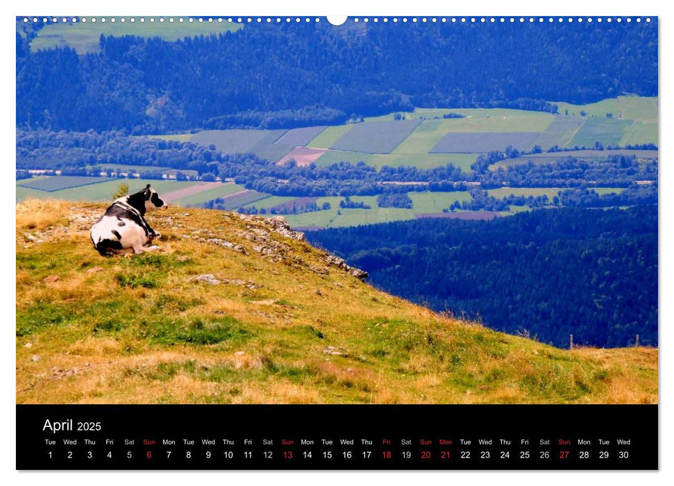 Austrian Summer (CALVENDO Premium-Calendar 2025)