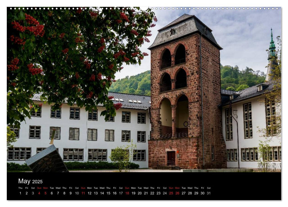 Heidelberg - Views of a City (CALVENDO Premium-Calendar 2025)