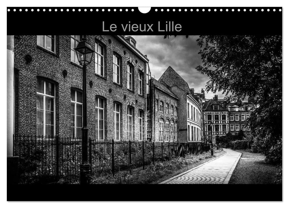 Le Vieux Lille (CALVENDO Calendrier mensuel 2025)