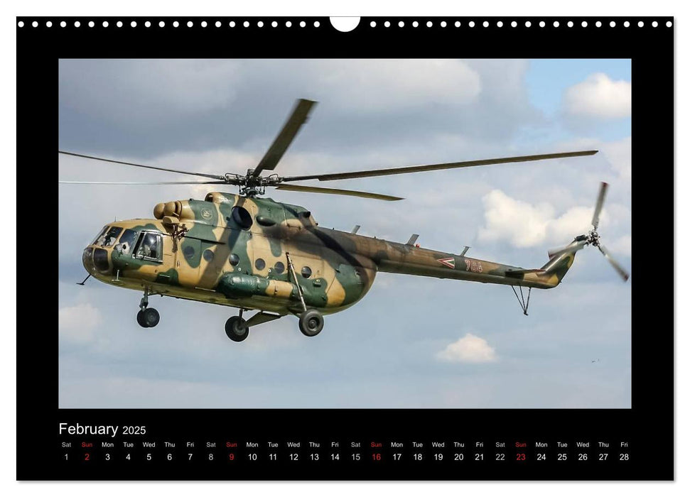 Air Force (CALVENDO Monthly Calendar 2025)