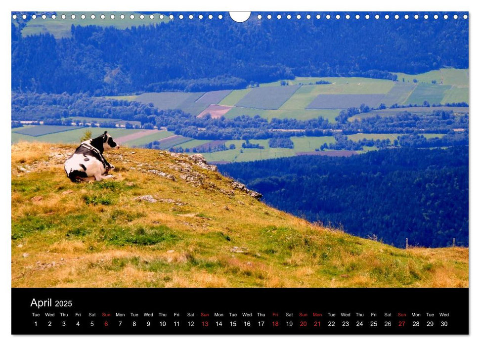 Austrian Summer (CALVENDO Monthly Calendar 2025)