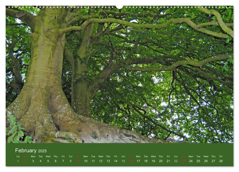 Magical Avebury and Stonehenge (CALVENDO Premium-Calendar 2025)