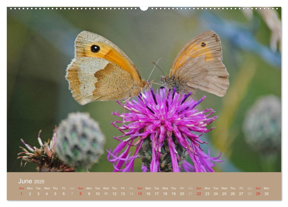 Magical Avebury and Stonehenge (CALVENDO Premium-Calendar 2025)