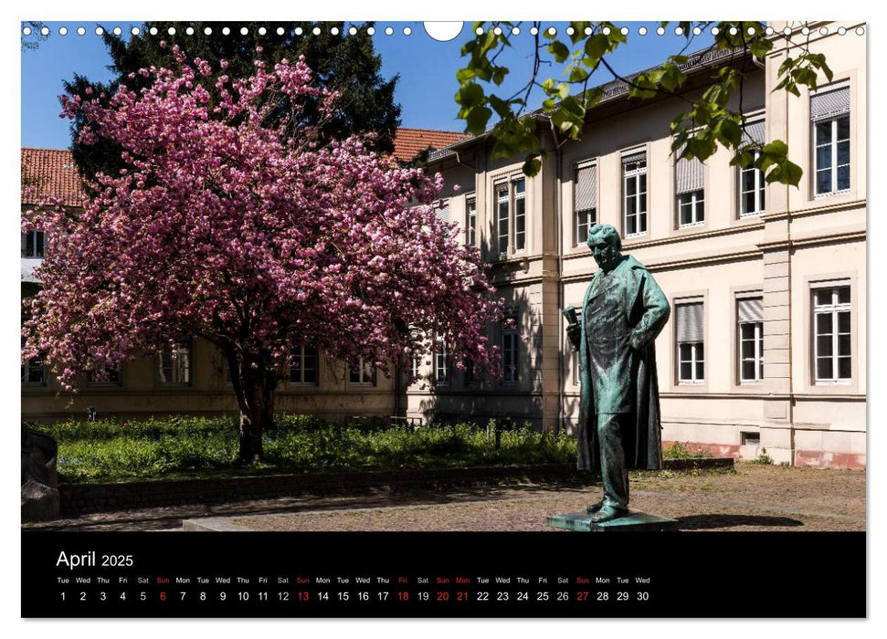 Heidelberg - Views of a City (CALVENDO Monthly Calendar 2025)