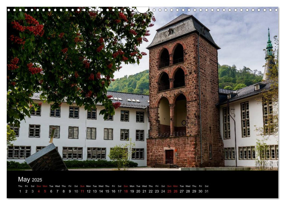 Heidelberg - Views of a City (CALVENDO Monthly Calendar 2025)