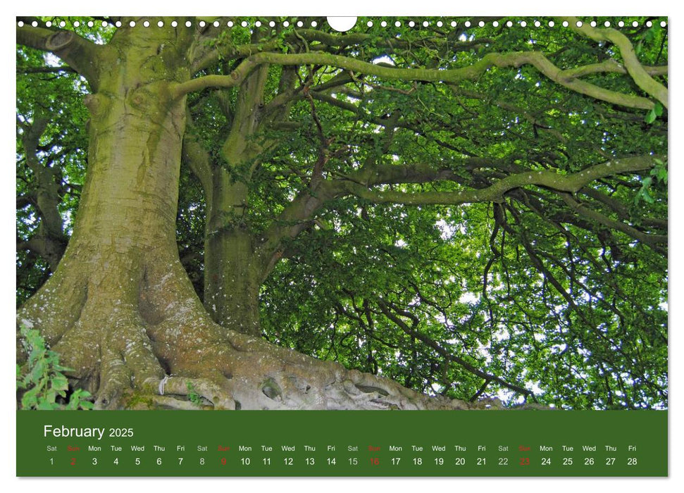 Magical Avebury and Stonehenge (CALVENDO Monthly Calendar 2025)