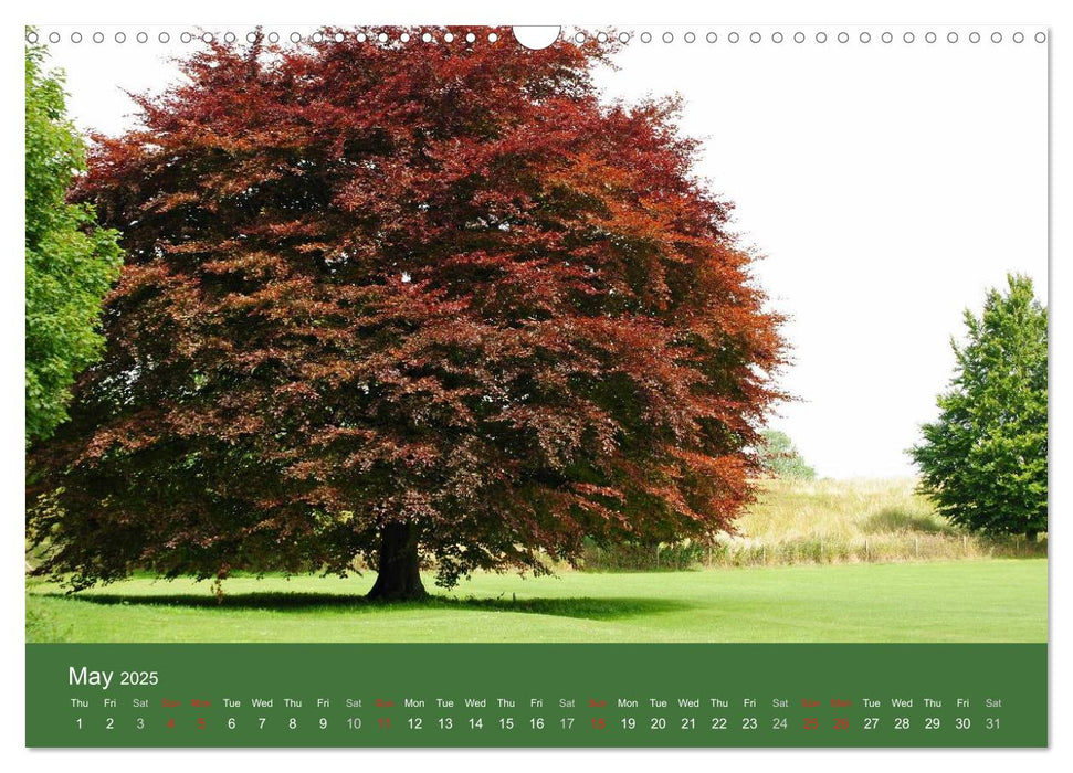 Magical Avebury and Stonehenge (CALVENDO Monthly Calendar 2025)