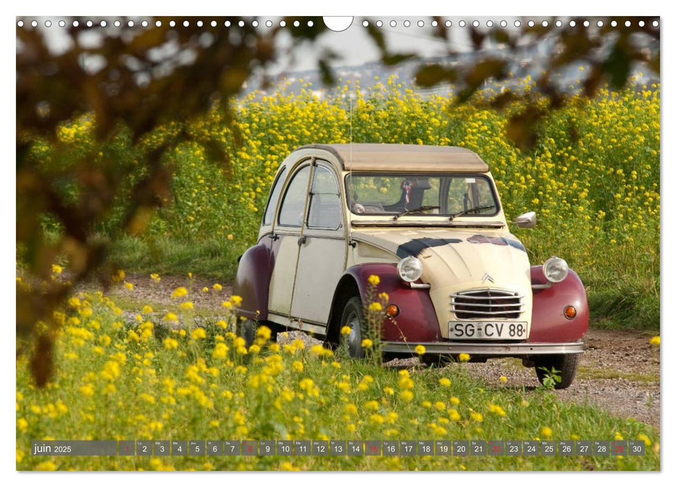 La deudeuche une voiture culte (CALVENDO Calendrier mensuel 2025)