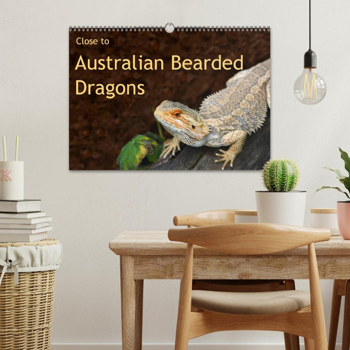 Close to Australian Bearded Dragons (CALVENDO Monthly Calendar 2025)