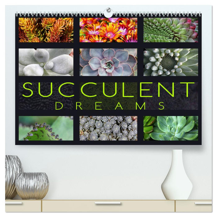 Succulent Dreams (CALVENDO Premium-Calendar 2025)