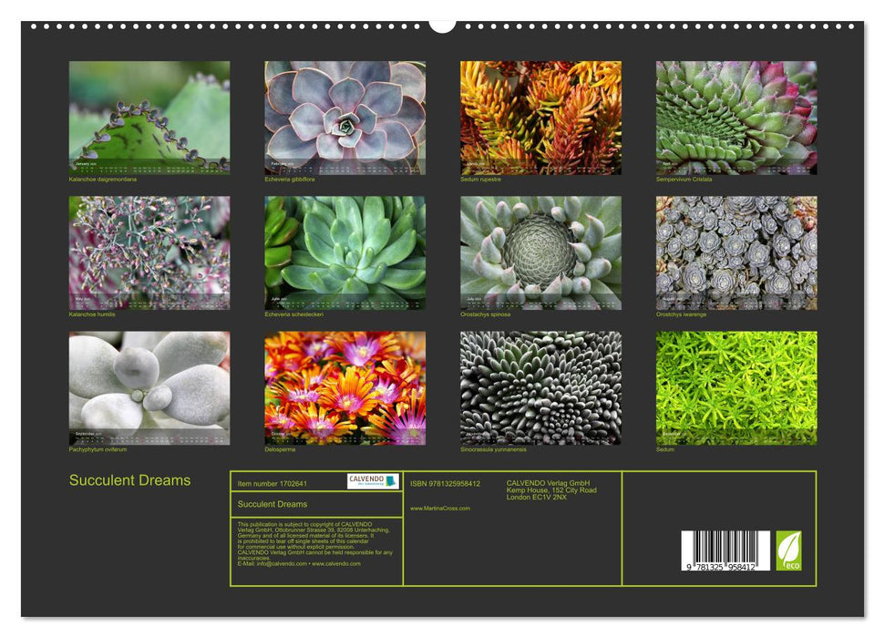 Succulent Dreams (CALVENDO Premium-Calendar 2025)