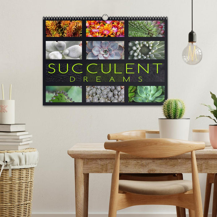 Succulent Dreams (CALVENDO Monthly Calendar 2025)