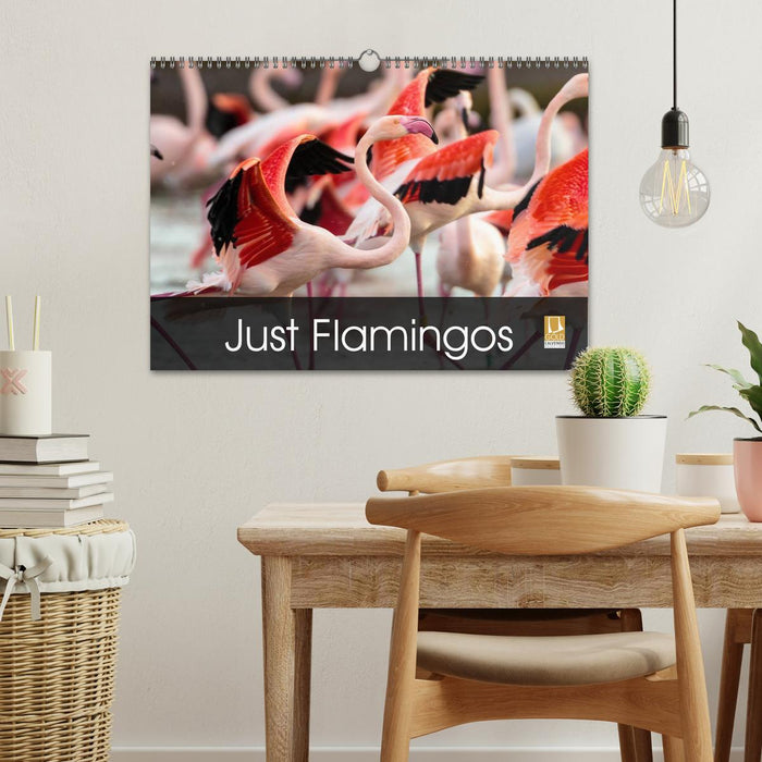 Just Flamingos (CALVENDO Monthly Calendar 2025)