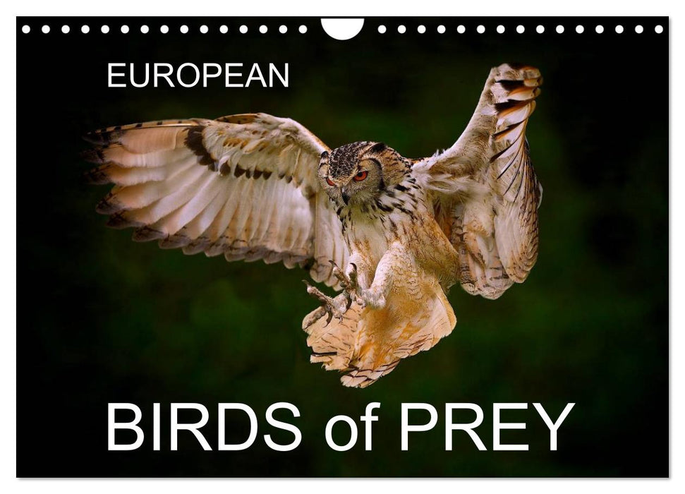 EUROPEAN BIRDS of PREY (CALVENDO Monthly Calendar 2025)