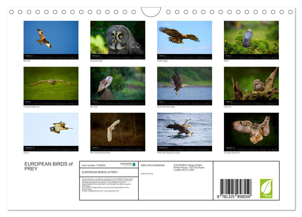 EUROPEAN BIRDS of PREY (CALVENDO Monthly Calendar 2025)