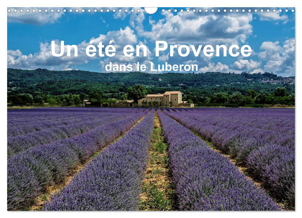 Un été en Provence dans le Luberon (CALVENDO Calendrier mensuel 2025)