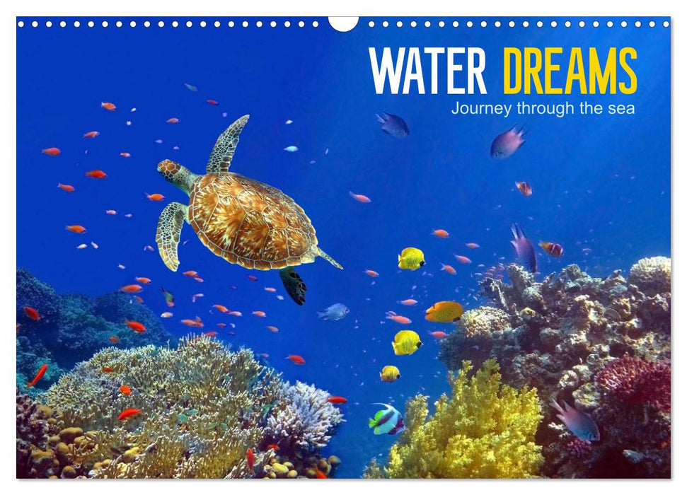 Water Dreams-journey through the sea (CALVENDO Monthly Calendar 2025)