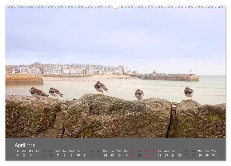 Cornwall's Coast by Tony Mills (CALVENDO Premium-Calendar 2025)