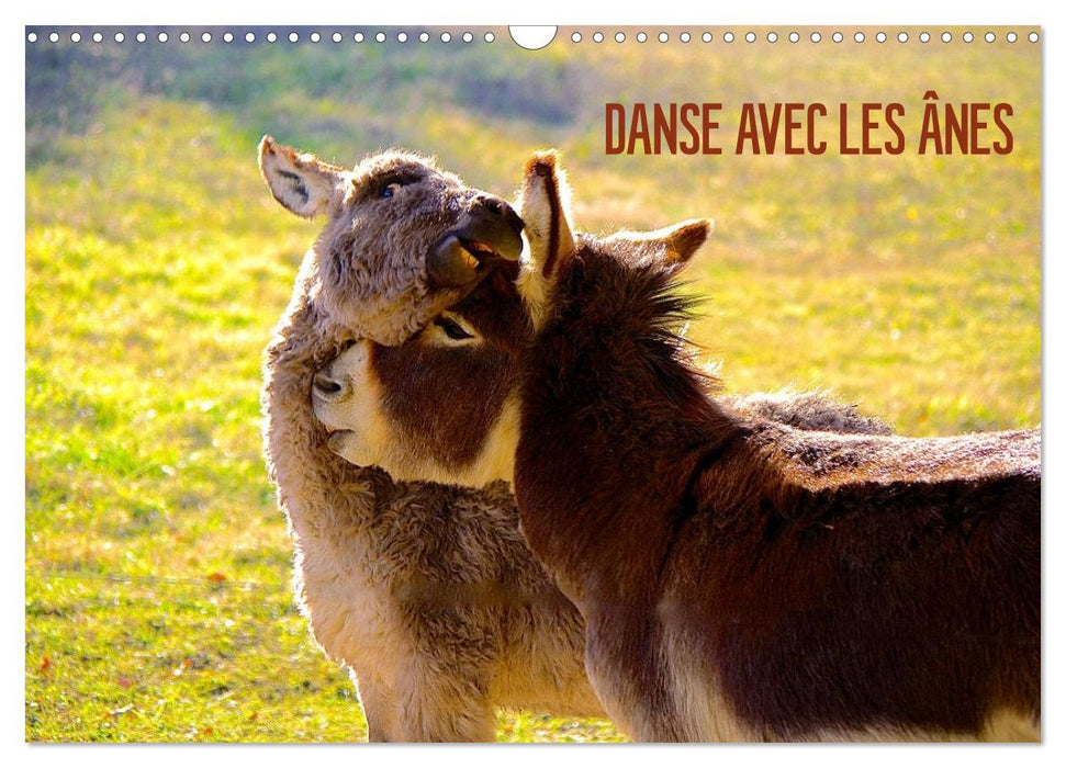 DANSE AVEC LES ÂNES (CALVENDO Calendrier mensuel 2025)