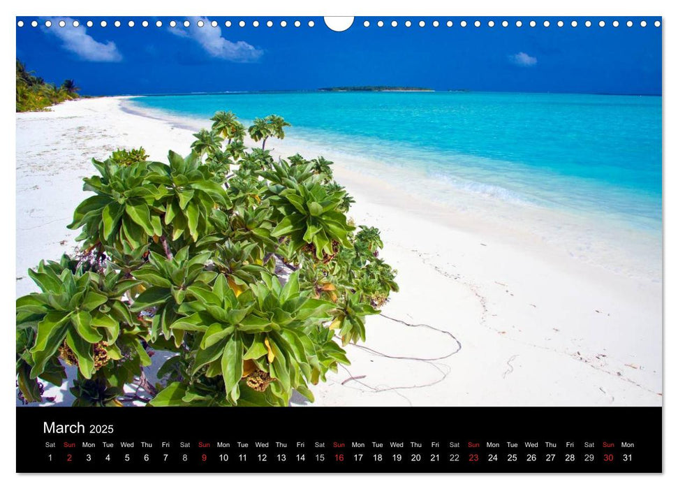 Amazing Maldives (CALVENDO Monthly Calendar 2025)