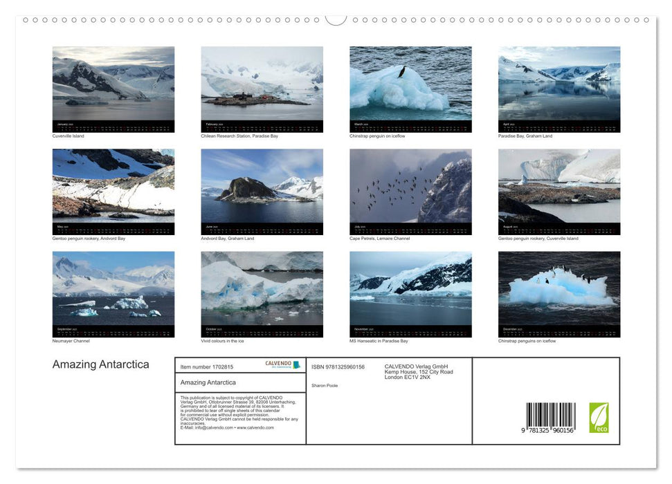 Amazing Antarctica (CALVENDO Premium-Calendar 2025)