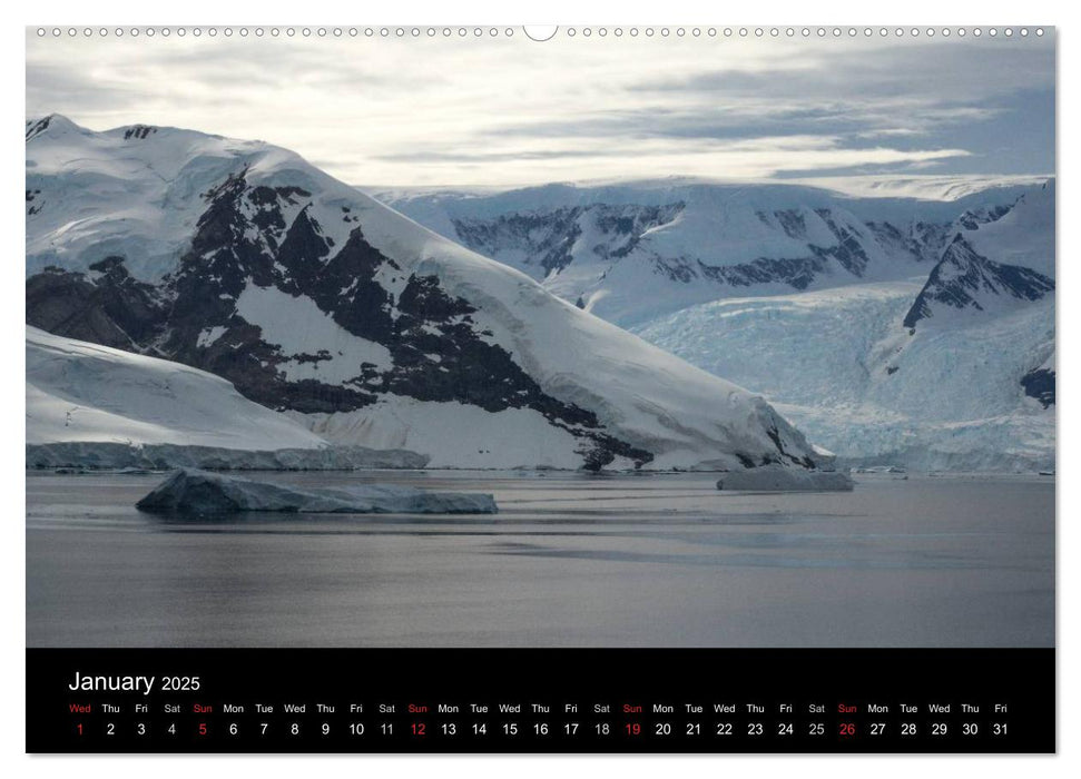 Amazing Antarctica (CALVENDO Premium-Calendar 2025)