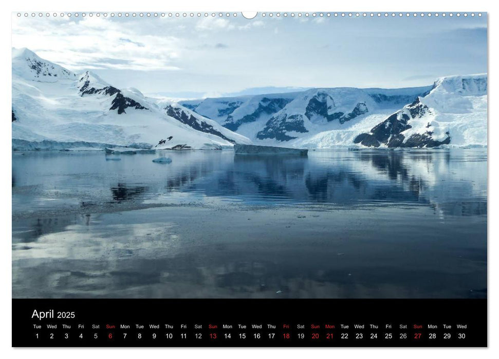 Amazing Antarctica (CALVENDO Premium-Calendar 2025)