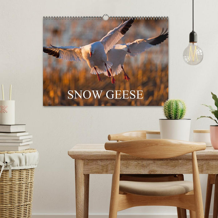 SNOW GEESE (CALVENDO Monthly Calendar 2025)