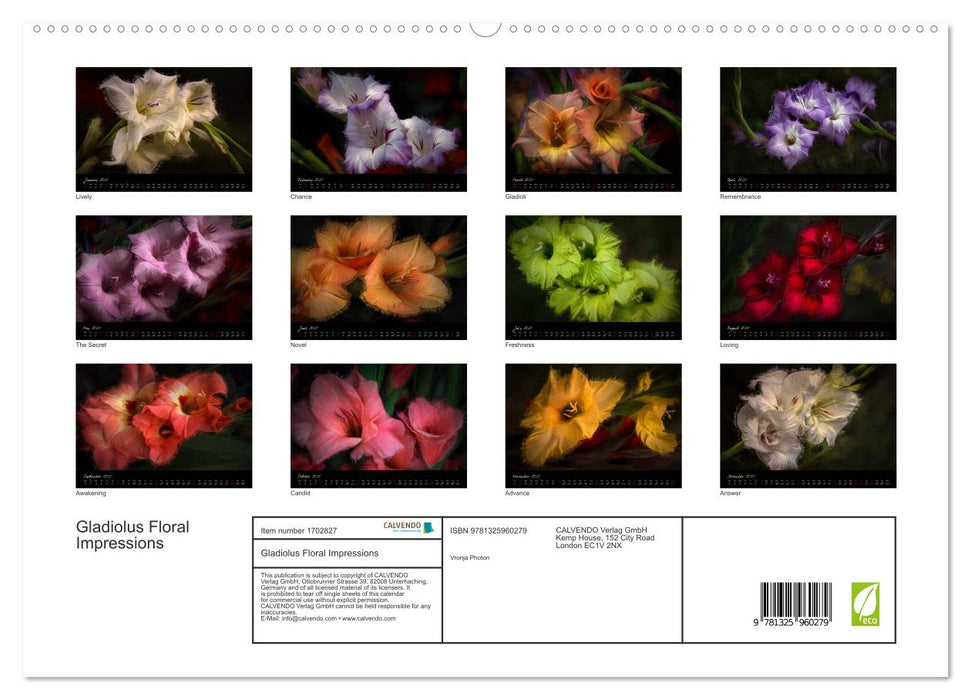 Gladiolus Floral Impressions (CALVENDO Premium-Calendar 2025)