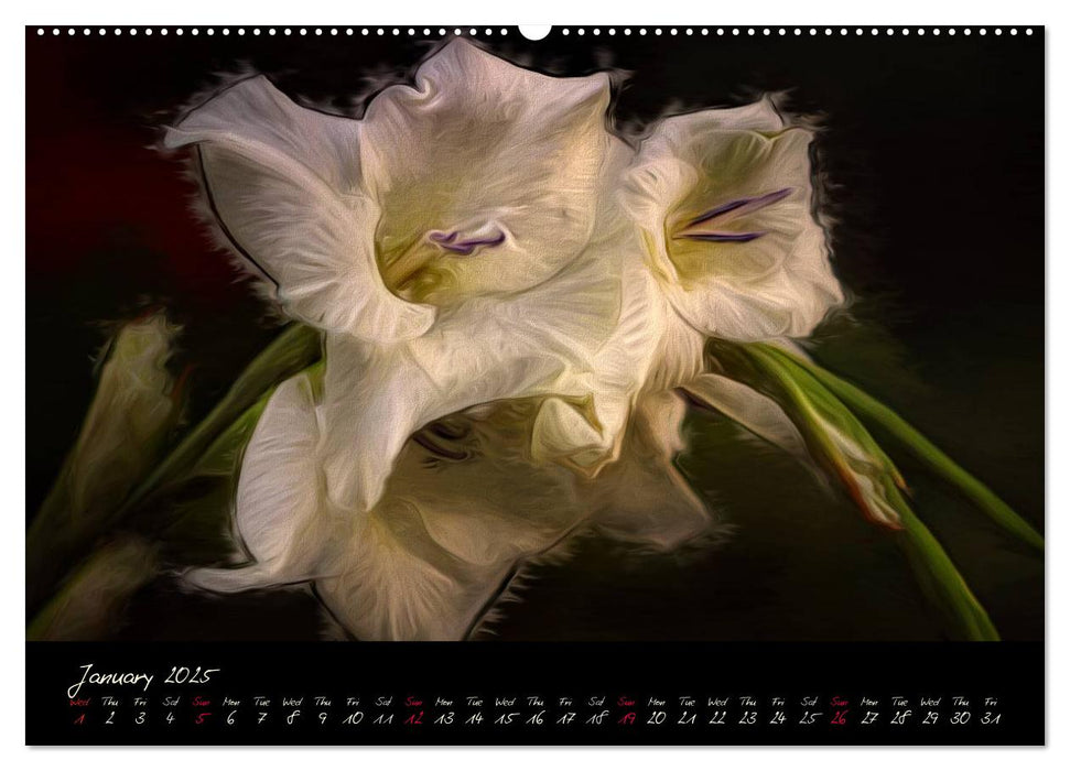 Gladiolus Floral Impressions (CALVENDO Premium-Calendar 2025)