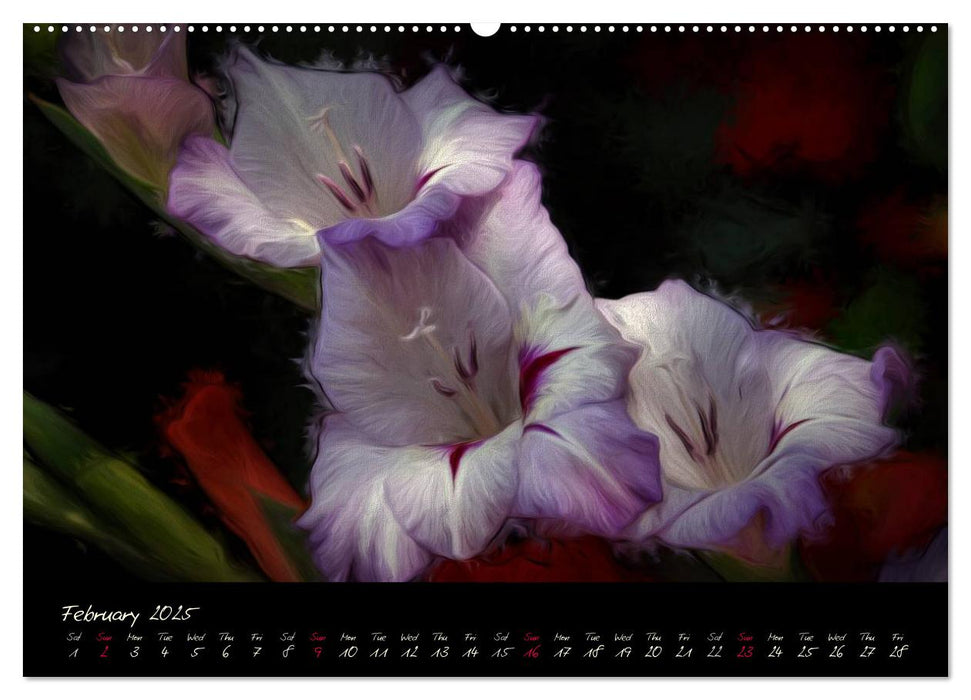 Gladiolus Floral Impressions (CALVENDO Premium-Calendar 2025)