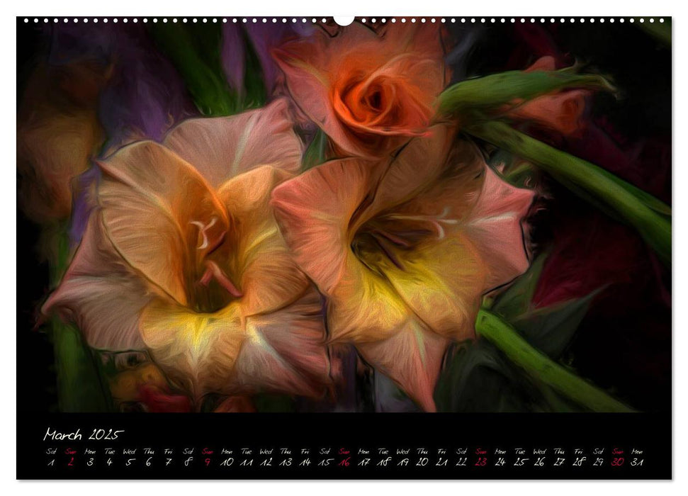 Gladiolus Floral Impressions (CALVENDO Premium-Calendar 2025)