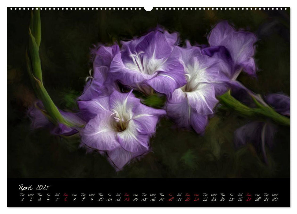 Gladiolus Floral Impressions (CALVENDO Premium-Calendar 2025)