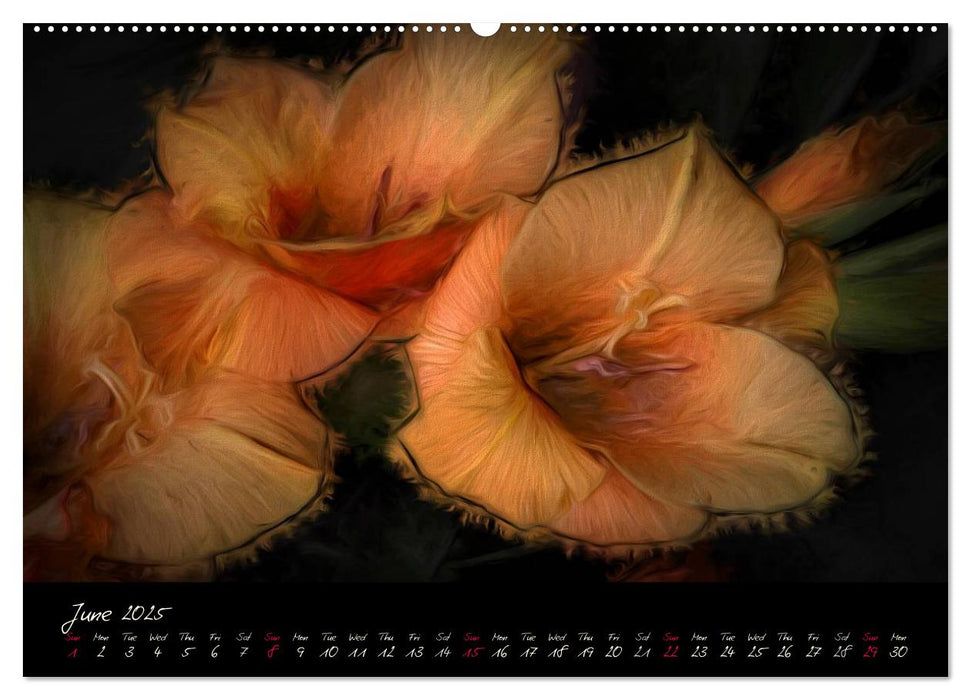 Gladiolus Floral Impressions (CALVENDO Premium-Calendar 2025)