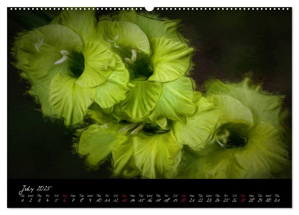 Gladiolus Floral Impressions (CALVENDO Premium-Calendar 2025)