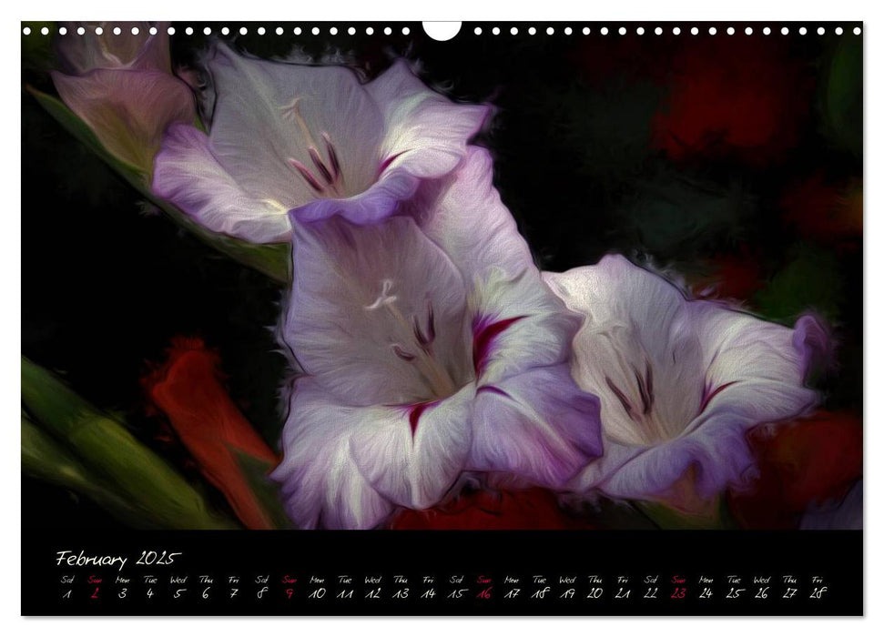 Gladiolus Floral Impressions (CALVENDO Monthly Calendar 2025)